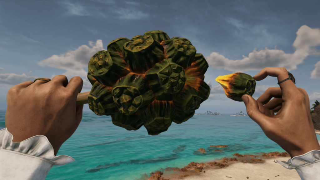 Pandanus on bootstrap island Pandanus on bootstrap island